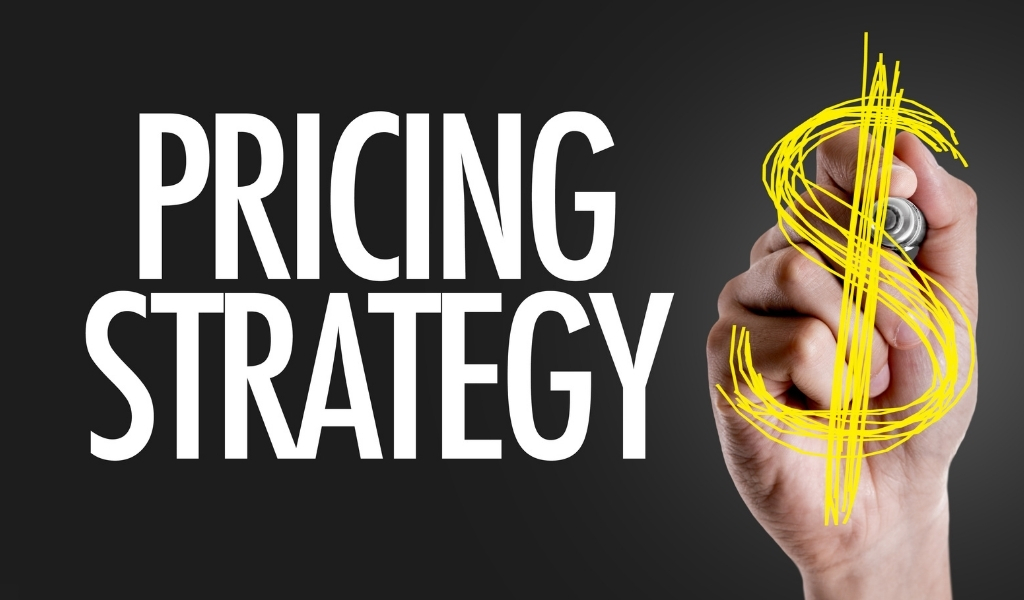 Develop a pricing strategy - Lezzat